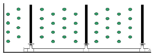 Layout For Main Nursery Sansui SI And Polybag